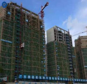 柳州市柳东碧桂园